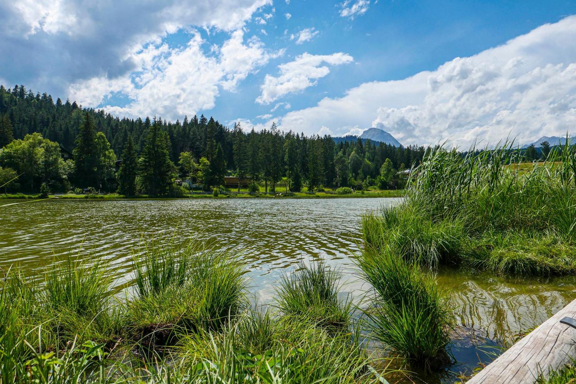 Landhaus Haid Seefeld in Tirol Eksteriør billede